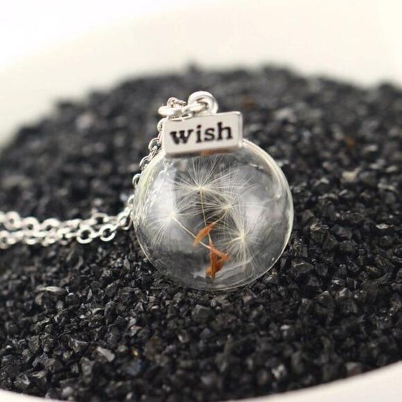 5/$25 Wish Bottle Real Dandelion Seeds Necklace - Picture 9 of 15